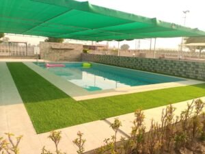 Swiming Pool